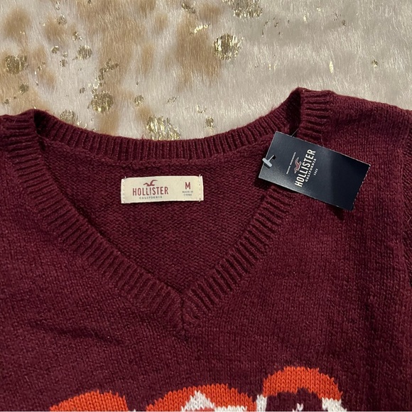NWT Hollister M BURGUNDY WINE WOMEN'S BEAR DREAMCATCHER V-NECK SWEATER - Picture 3 of 6